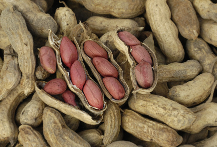 Growing peanuts