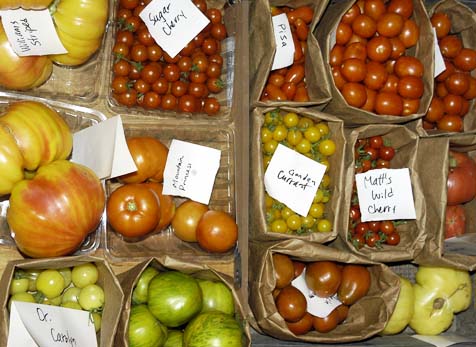 5 Heirloom Tomato Varieties that Embody the Essence of Summer