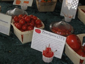 Heirloom tomato tasting fredericksburg southern exposure seed exchange organic