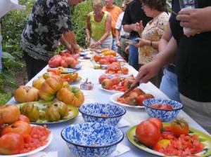 Heirloom tomato tasting fredericksburg southern exposure seed exchange organic