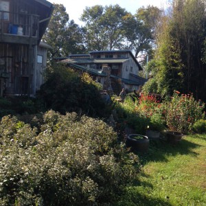 Just a small part of Hildegard’s magnificent herb garden