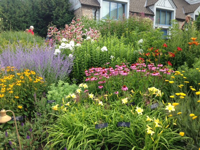 Minneapolis pollinator garden 2