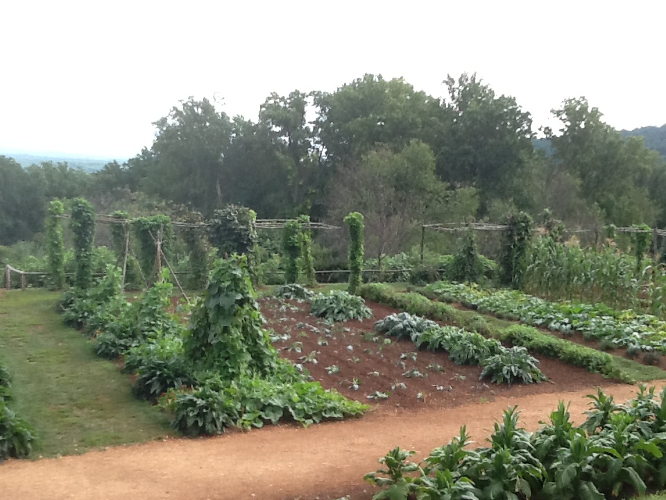 Rocommendations For A Good Garden Twine For A Trellis