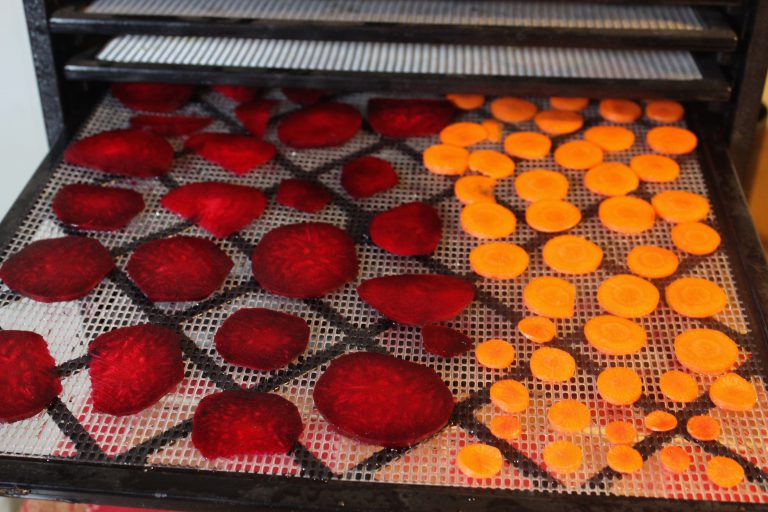 DIY Natural Food Coloring from Garden Vegetables | Southern Exposure ...