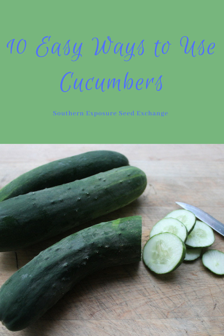 10 Easy Ways to Use Cucumbers Southern Exposure Seed Exchange