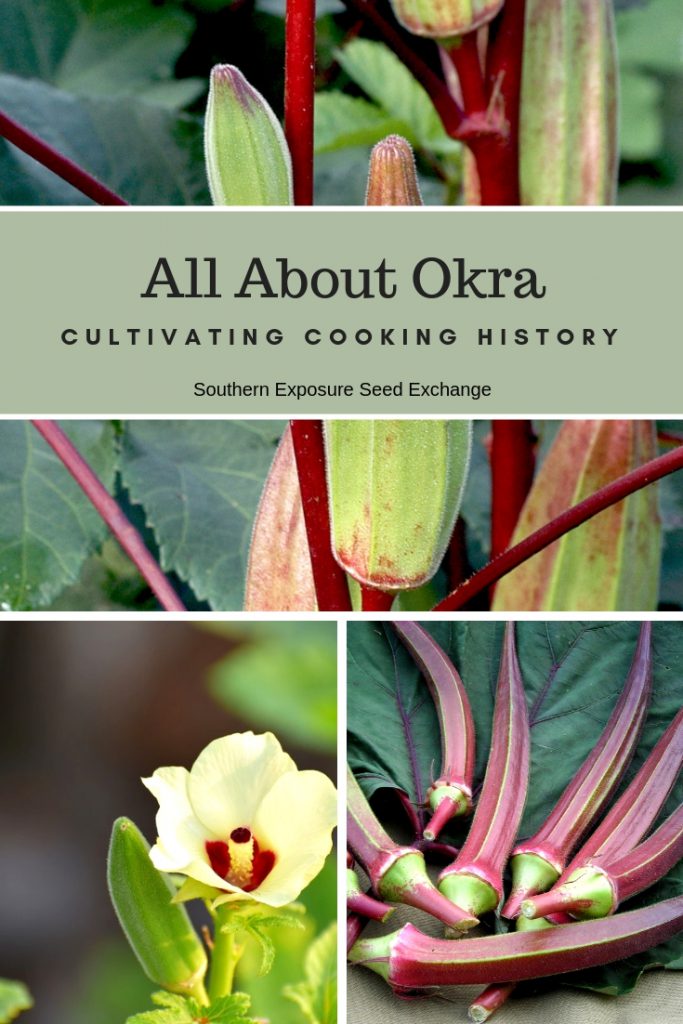 literature review on okra pdf