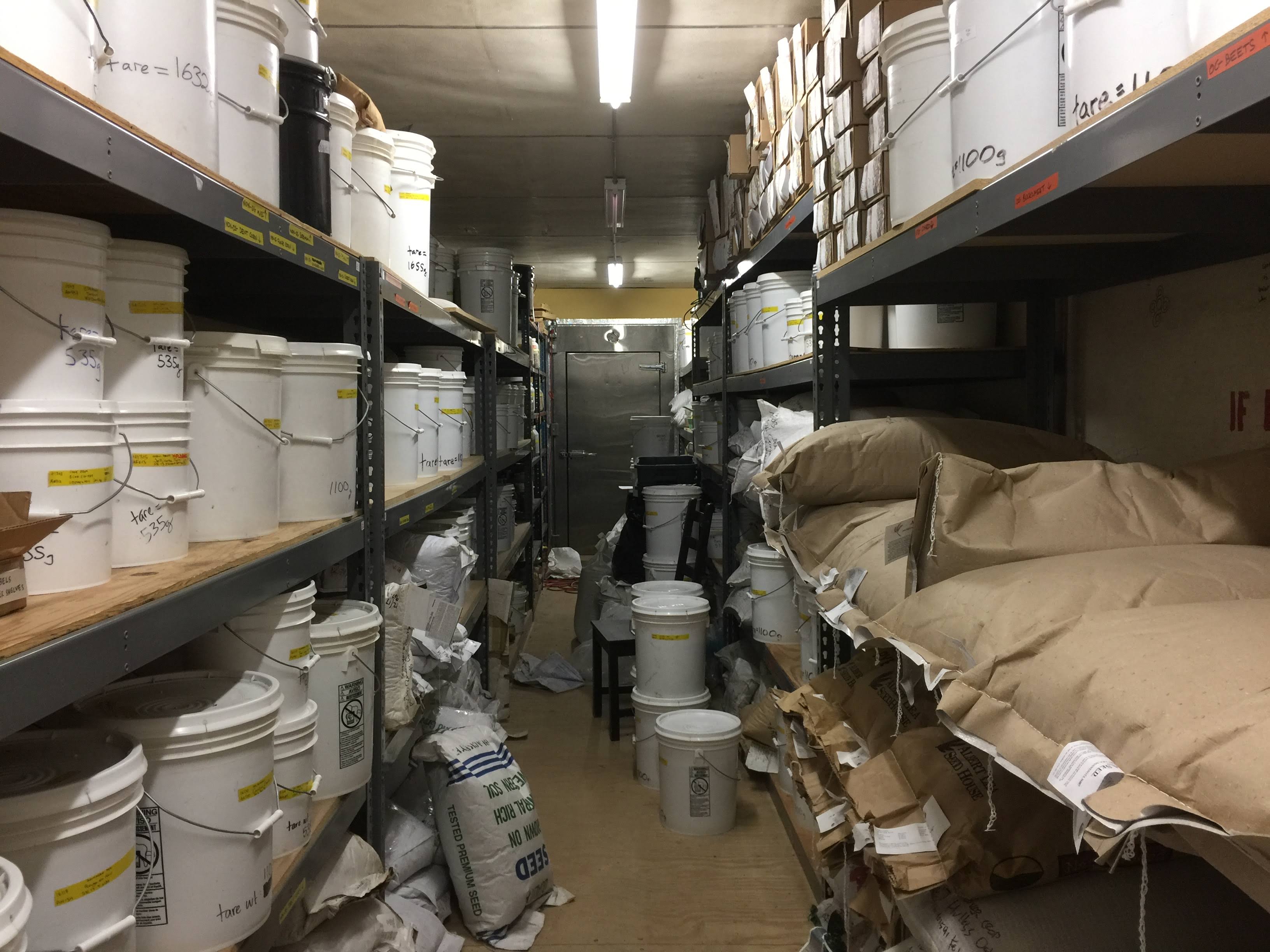 Seed storage at SESE