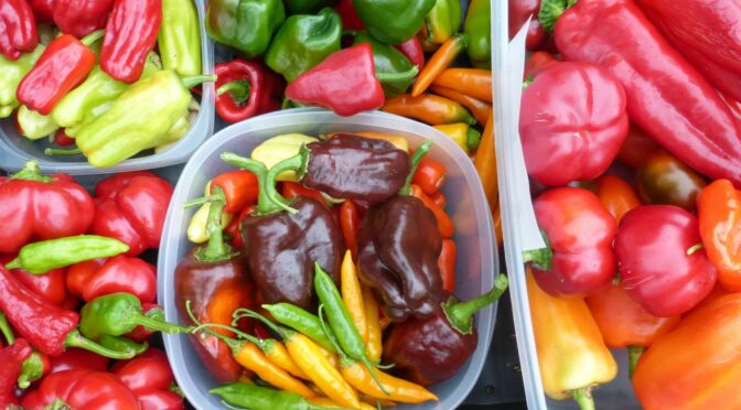 Seed to Storage: Success With Peppers