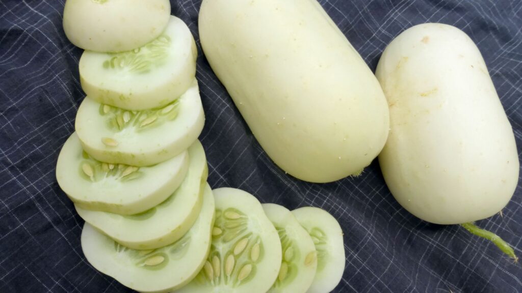 10 Mini Vegetables You’ll Adore | Southern Exposure Seed Exchange