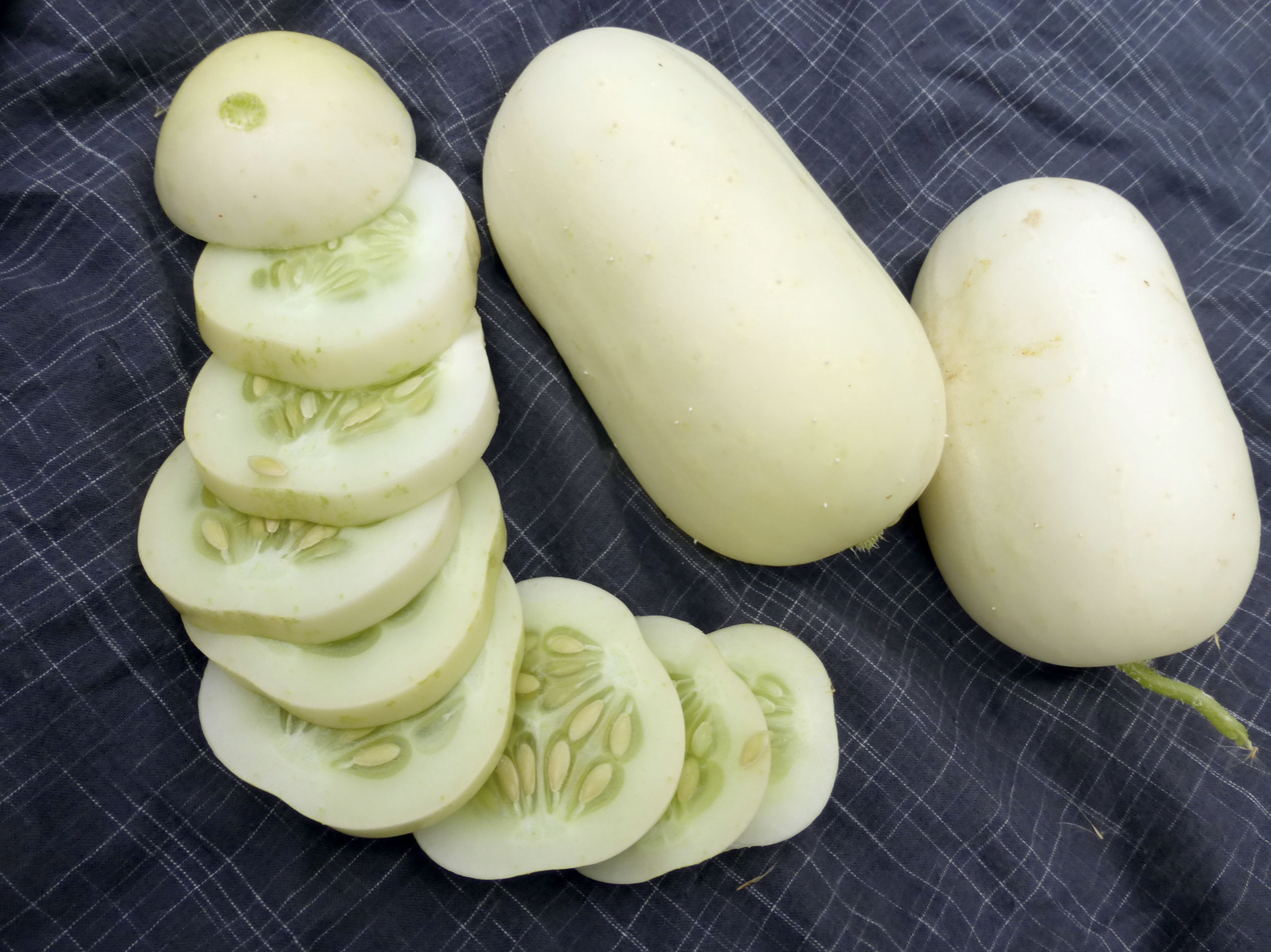 Roseland Small White Pickling Cucumber