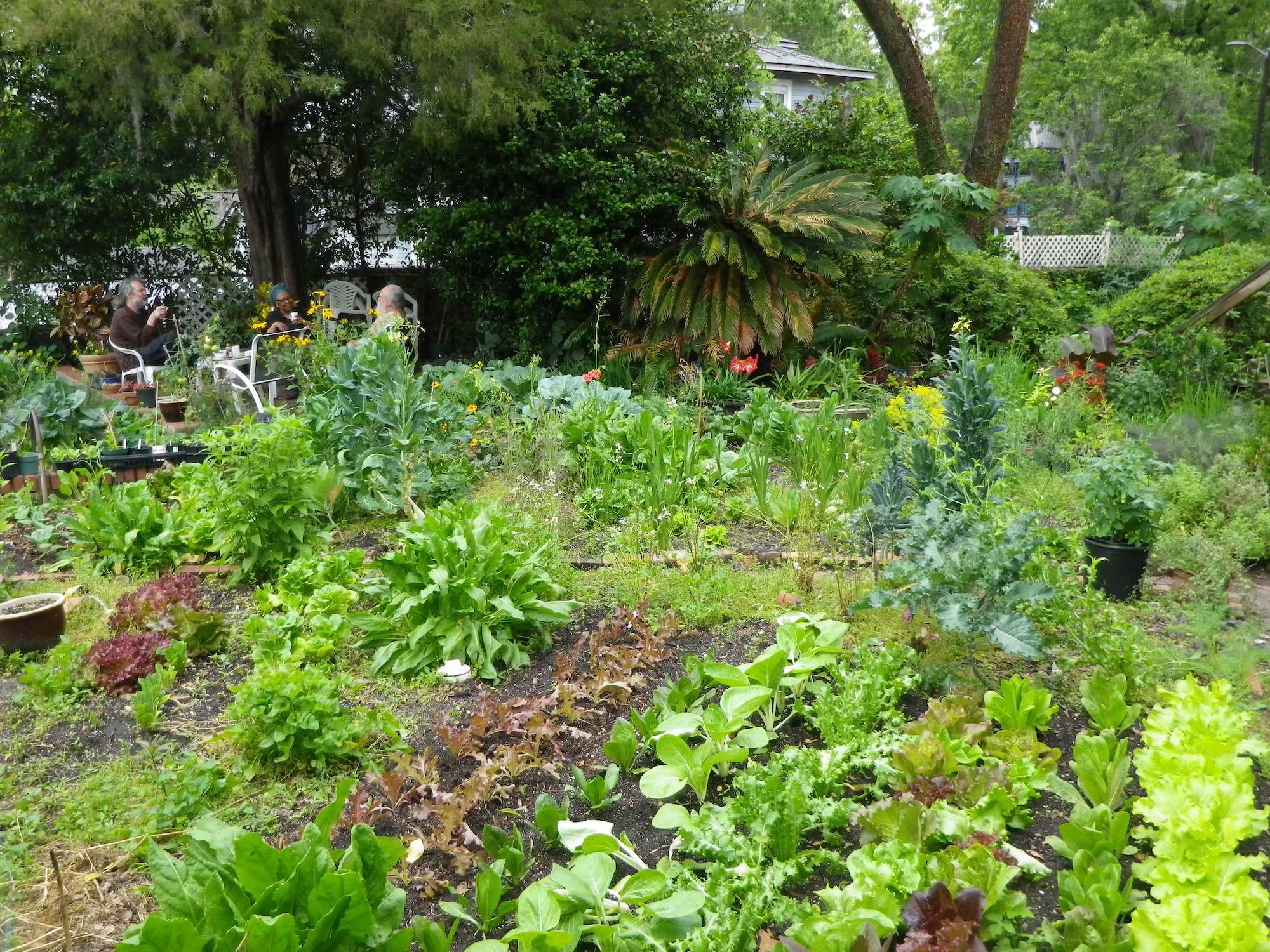 Organic Garden (start organic gardening)