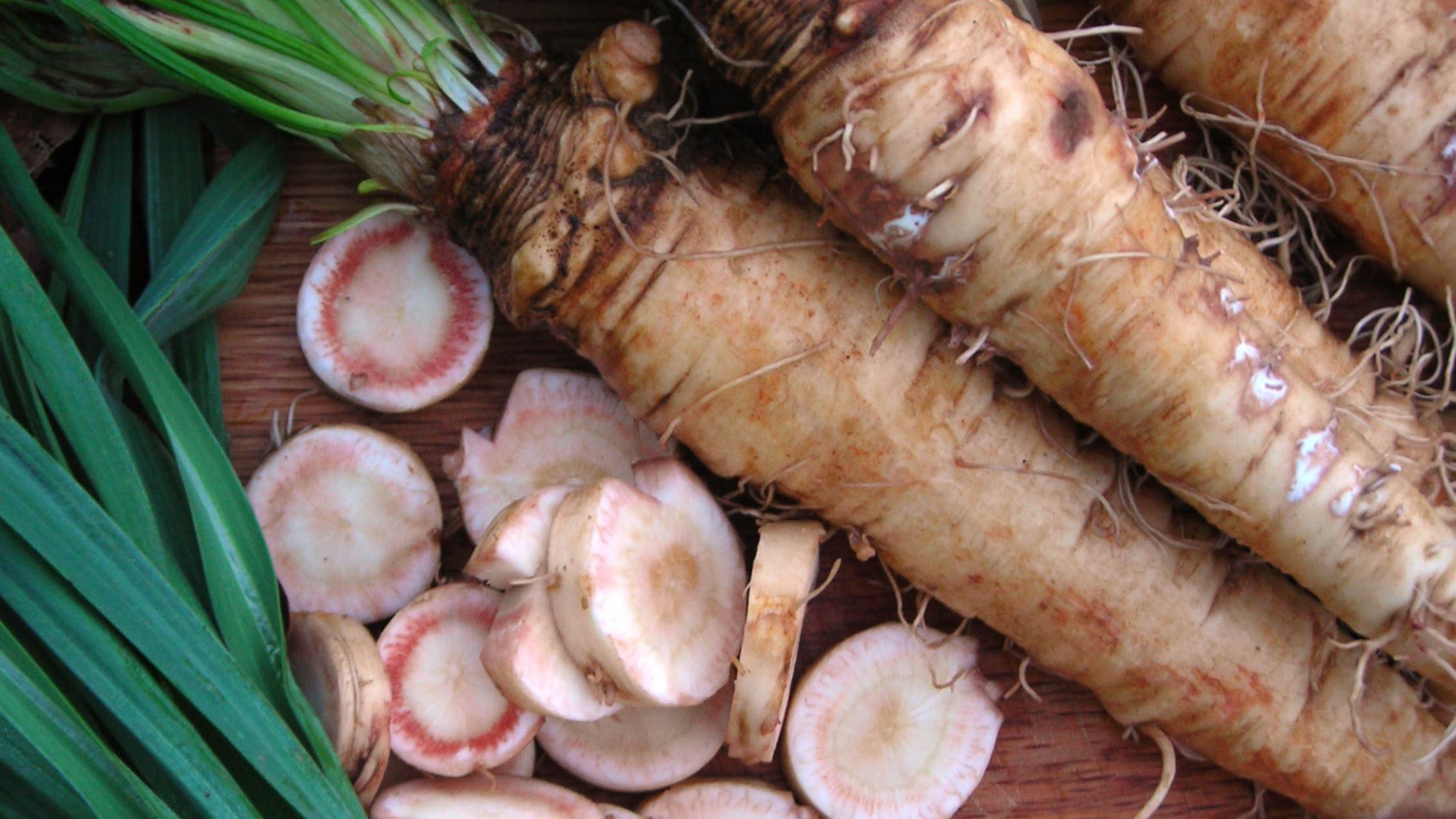 Salsify (root crops)