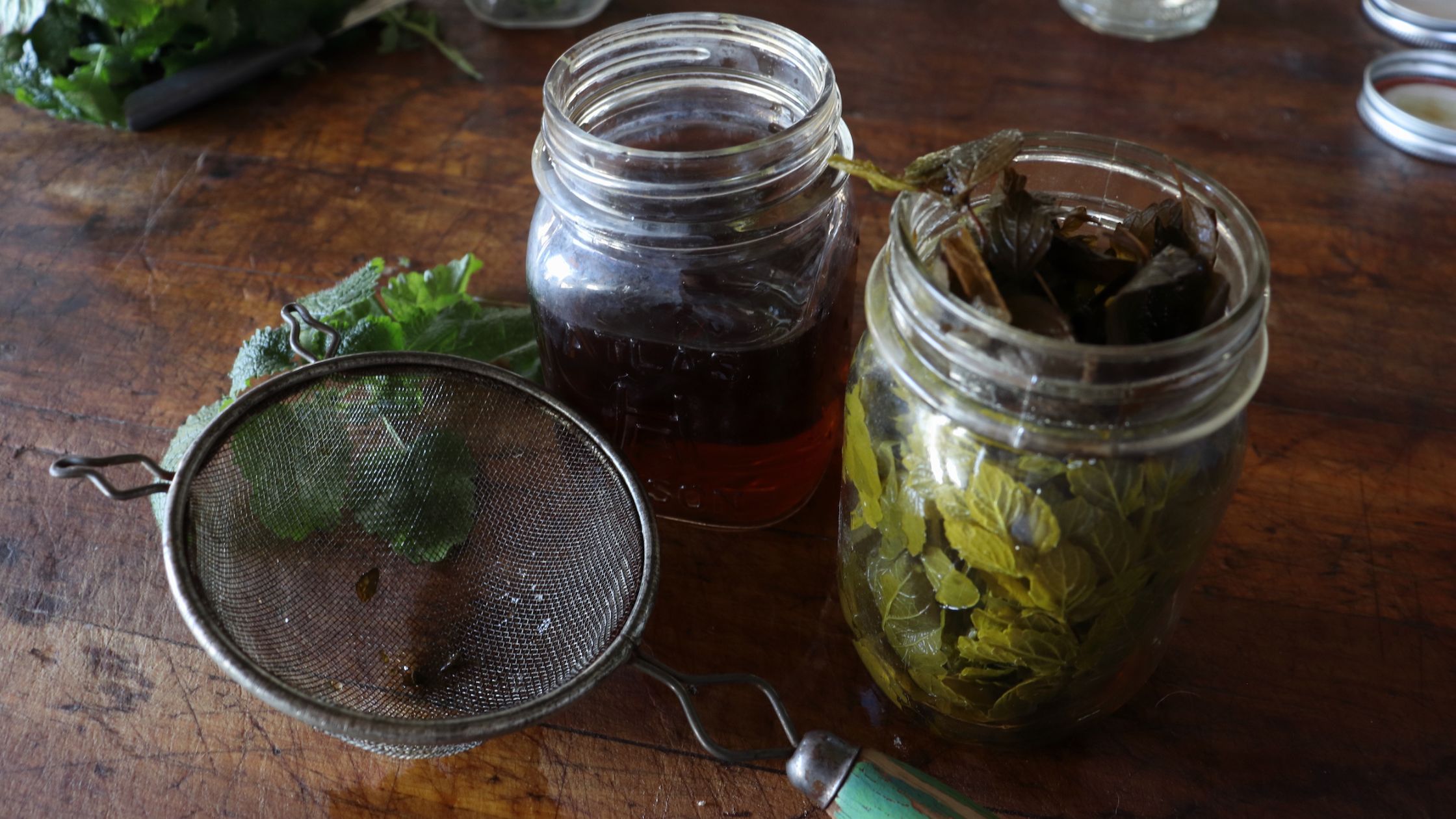 Strainer, tincture in mason jar, mason jar with herbs, lemon balm leaves