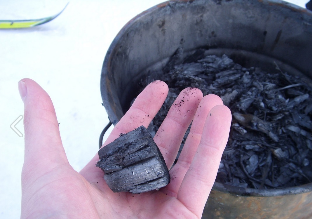 A hand holding a piece of biochar in front of a barrel full of it