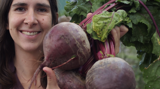 Woman holding bunch of beets from the fall garden