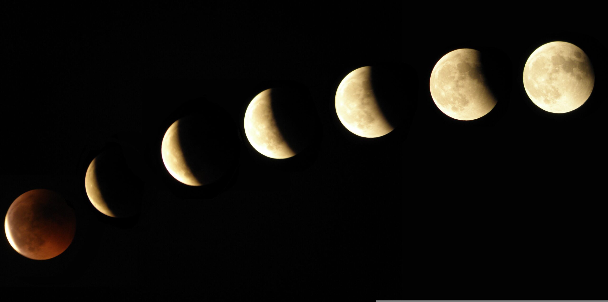 moon-phase-gardening-southern-exposure-seed-exchange