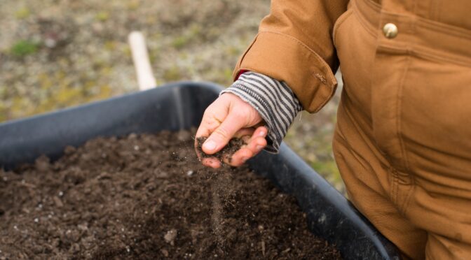 Fall Garden Clean-Up: Prepare Your Soil for Spring