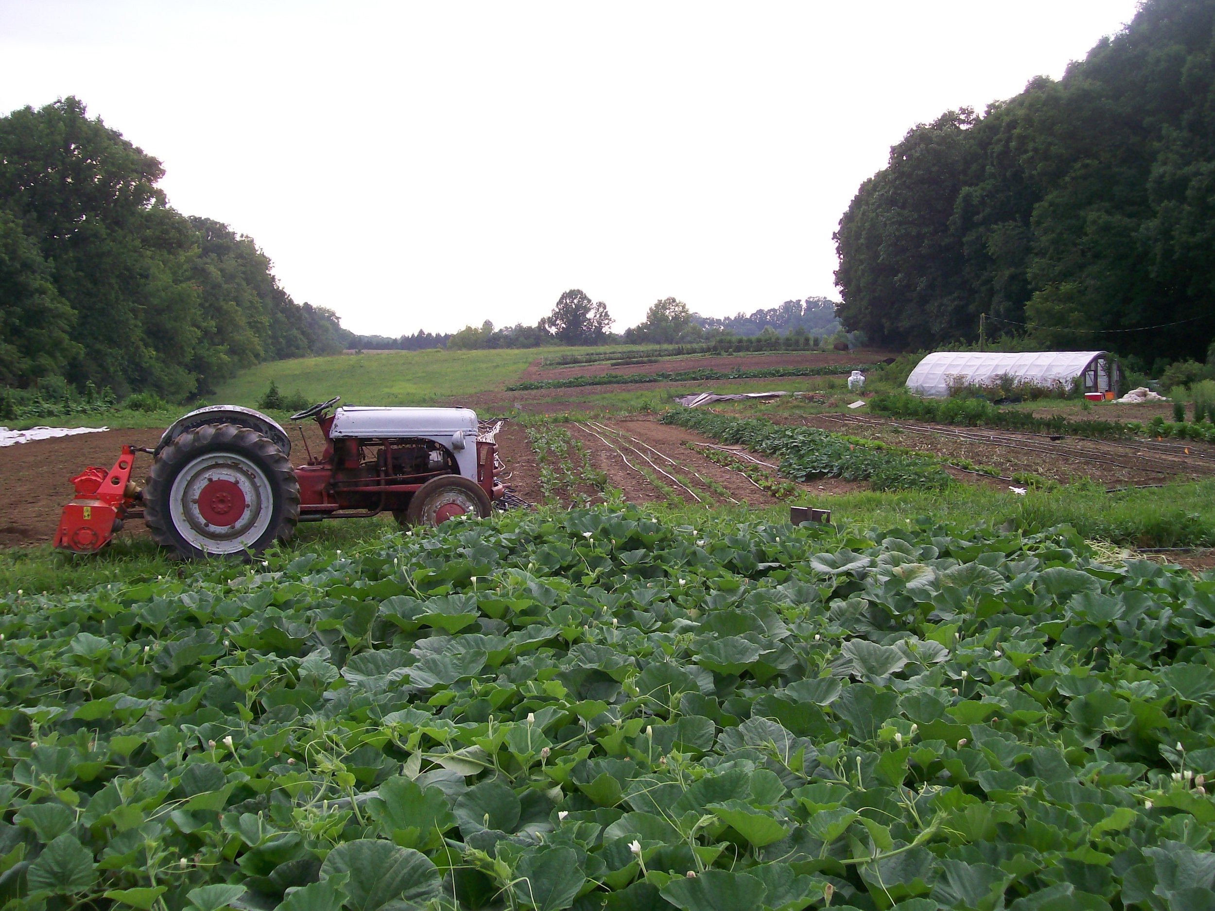 Climate Change Impacts on Seed Growers Southern Exposure Seed Exchange