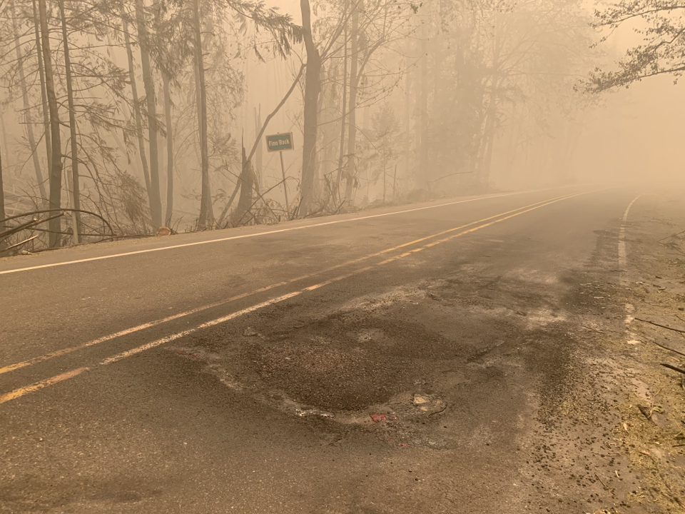 Fire damage to OR 126 McKenzie Highway from the Holiday Farm Fire