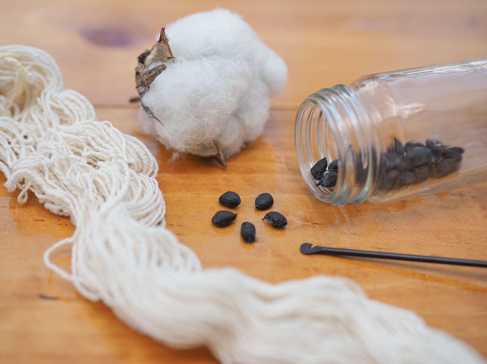 Spinners Ivory Cotton, Seeds, Yarn, and needle