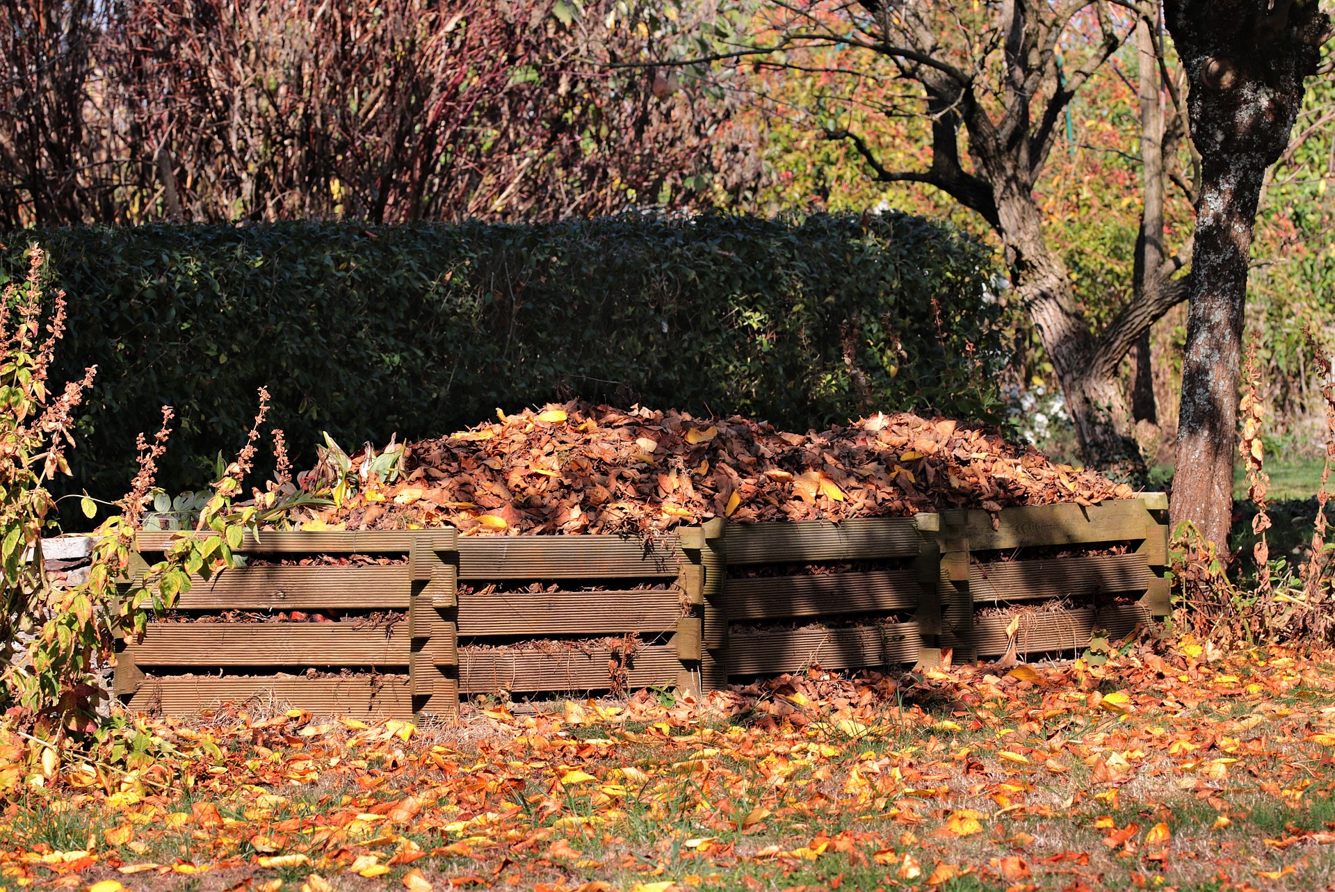 Four square compost bins with leaves
