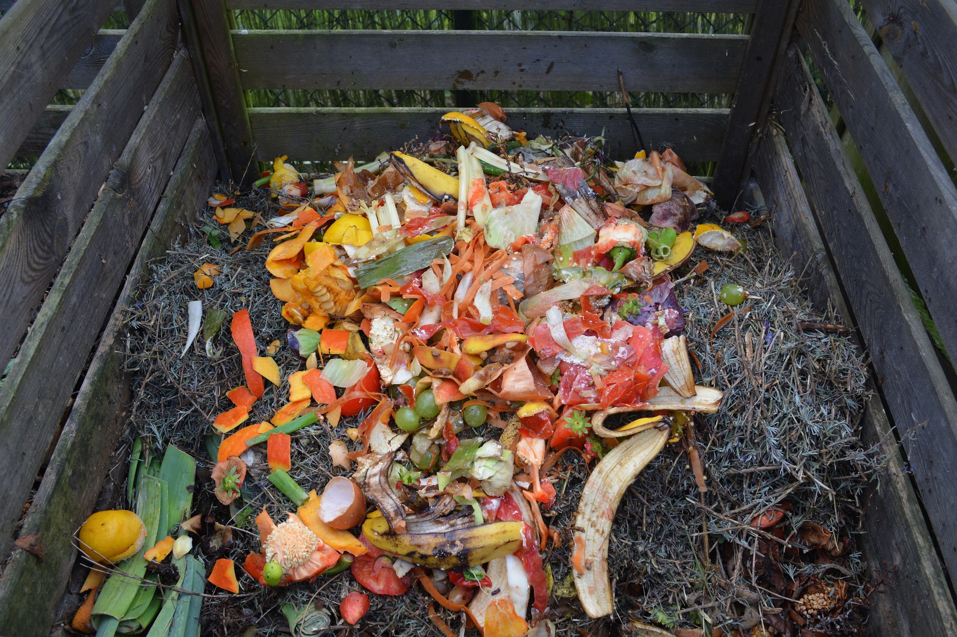 Compost bin full of vegetable and fruit scraps