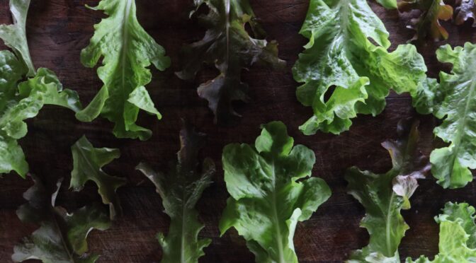 Lettuce Leaves on Cutting Board