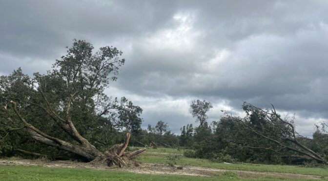 Gary Bell's farm in Evans County