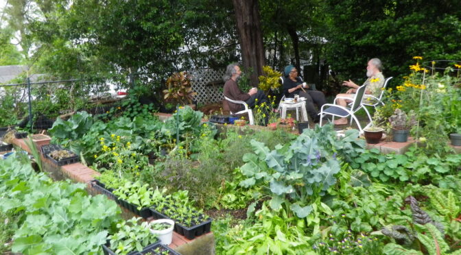 Ira and Ken chatting in Jake and George's small garden