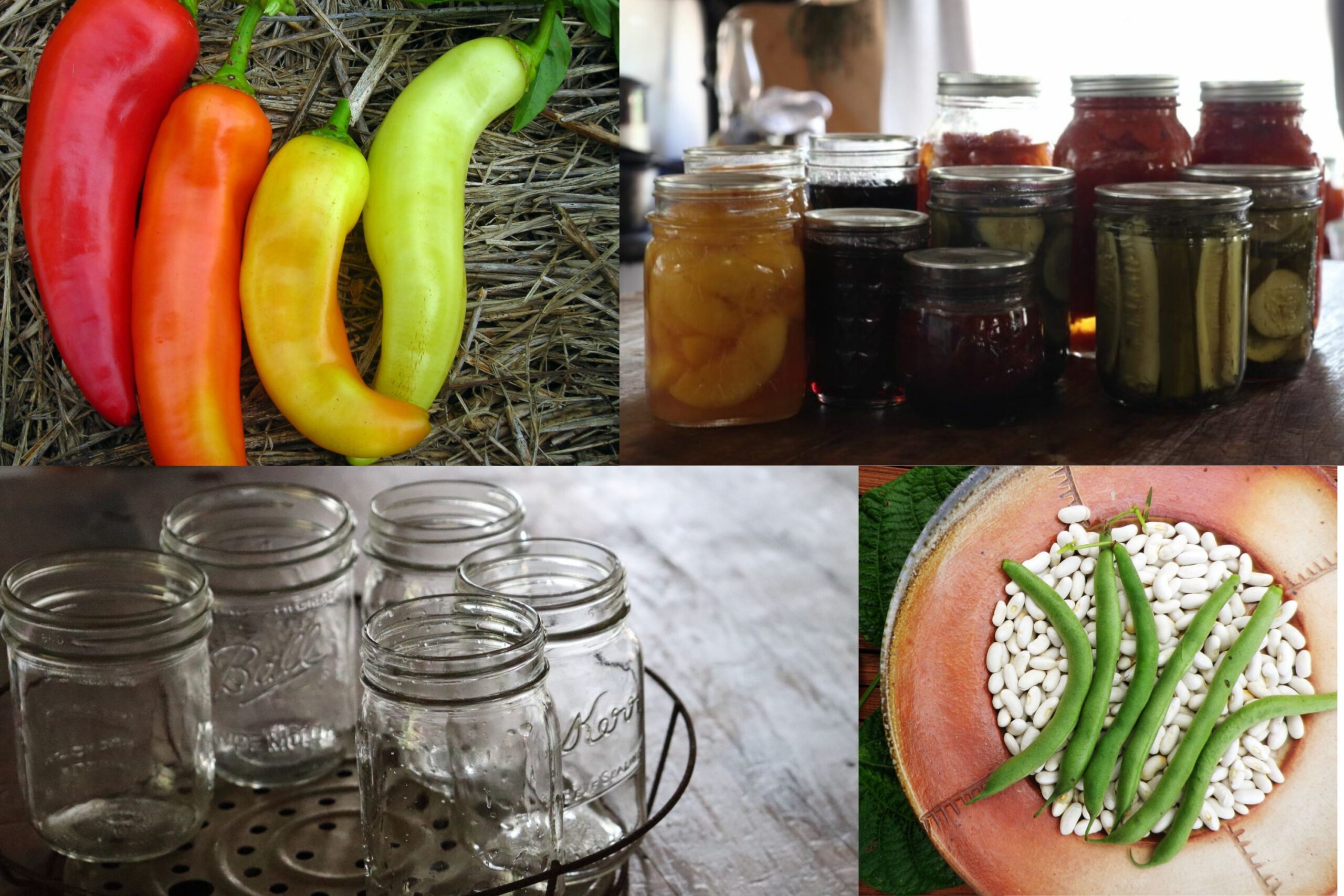 10+ Varieties Good for Canning 10+ Varieties Good for Canning