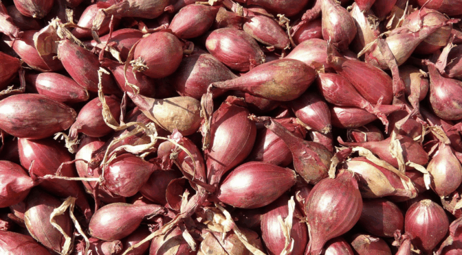 Red shallots