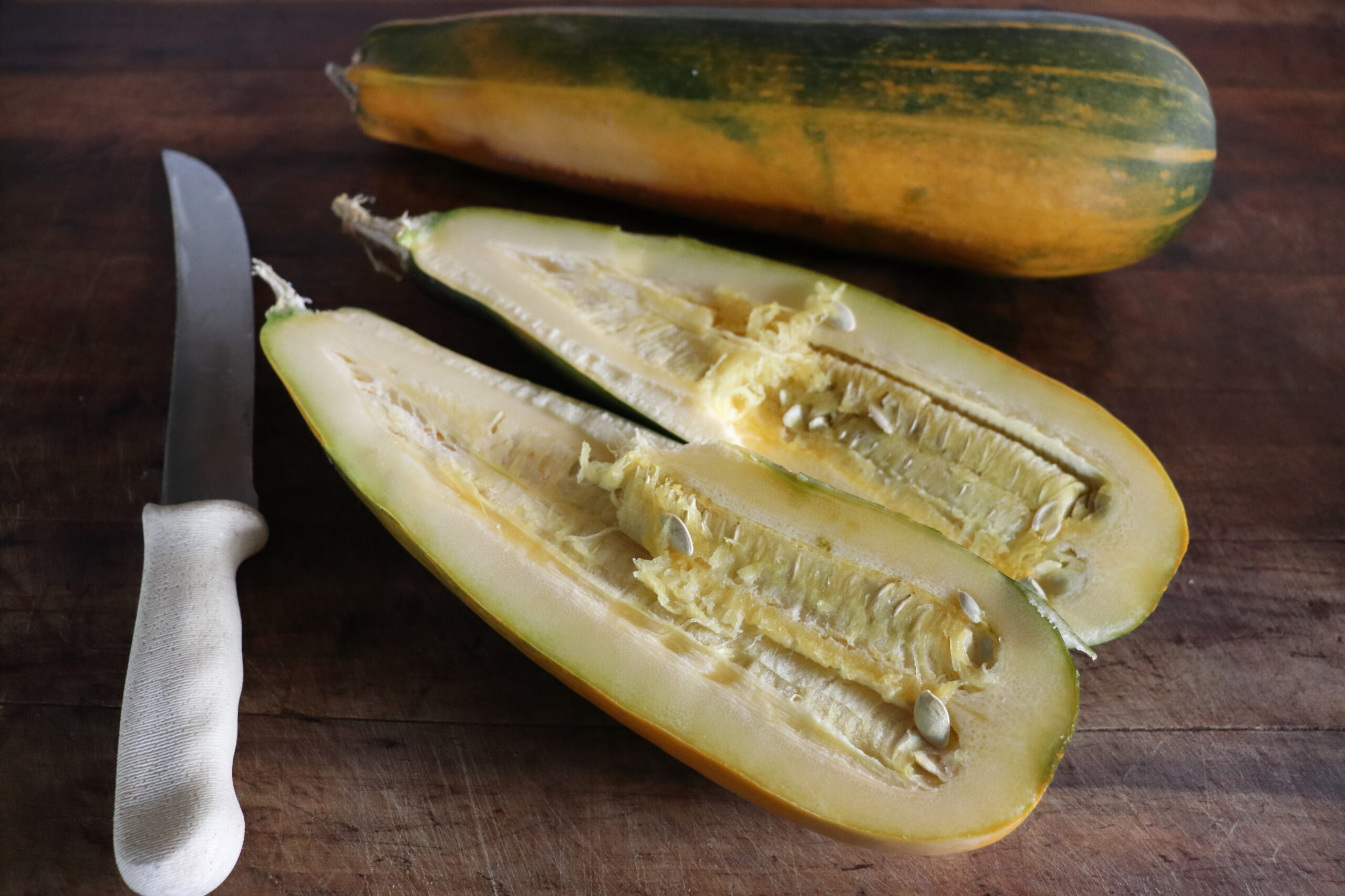 An overlarge zucchini sliced in half for seed saving