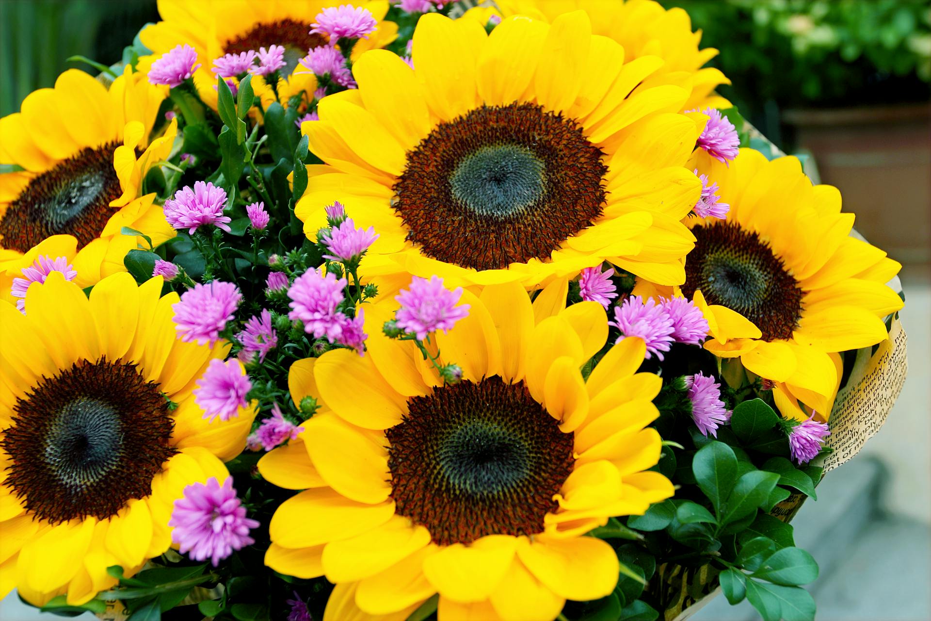 Bouquet of cut flowers with sunflowers