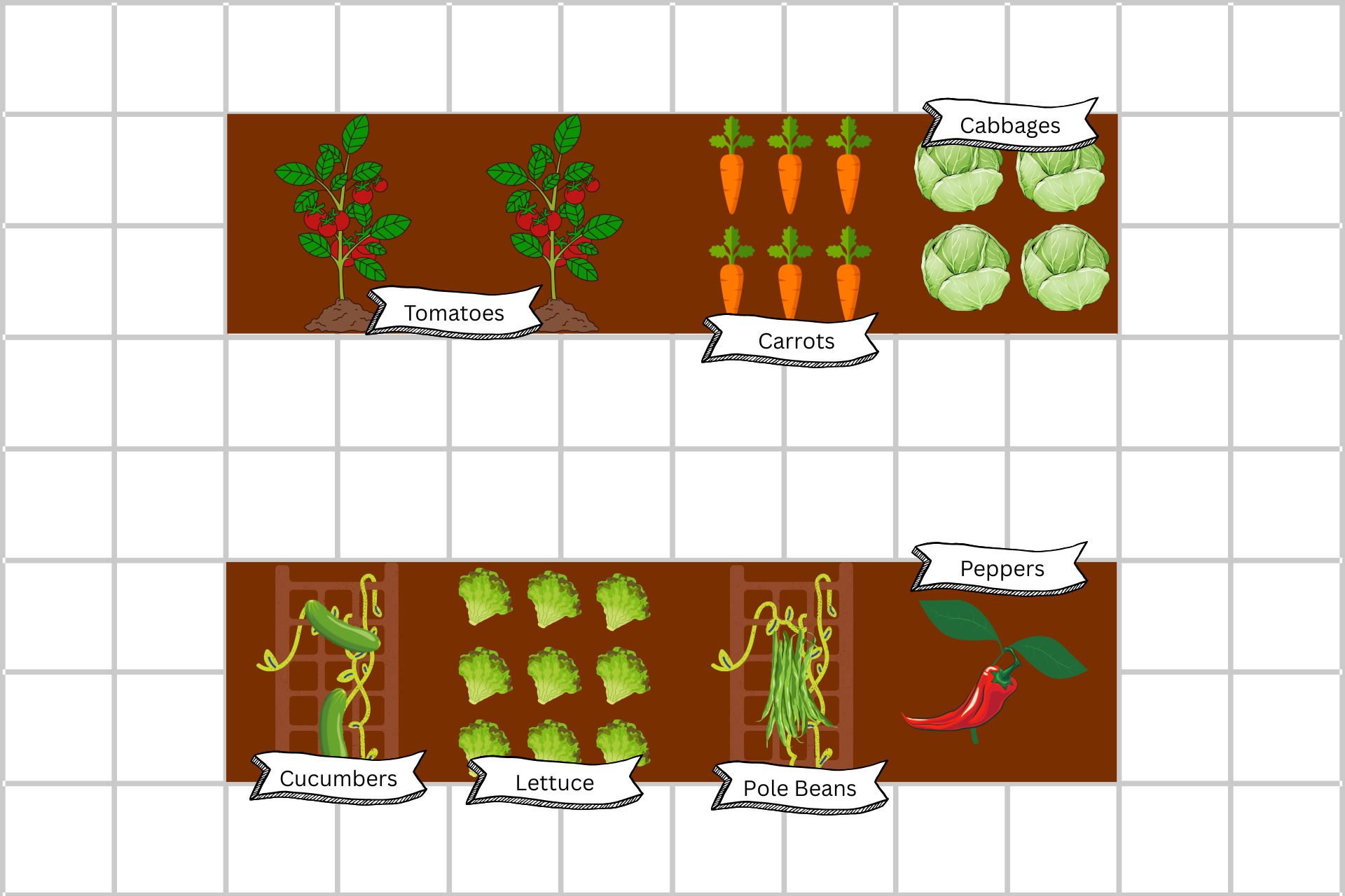 A garden plan for two raised beds two feet by eight feet