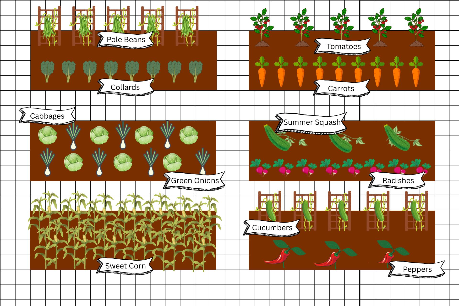 A small garden plan for 6 raised beds