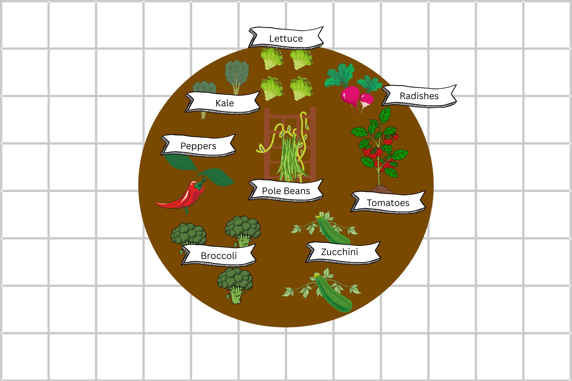 A garden plan for a round bed about 6 feet in diameter
