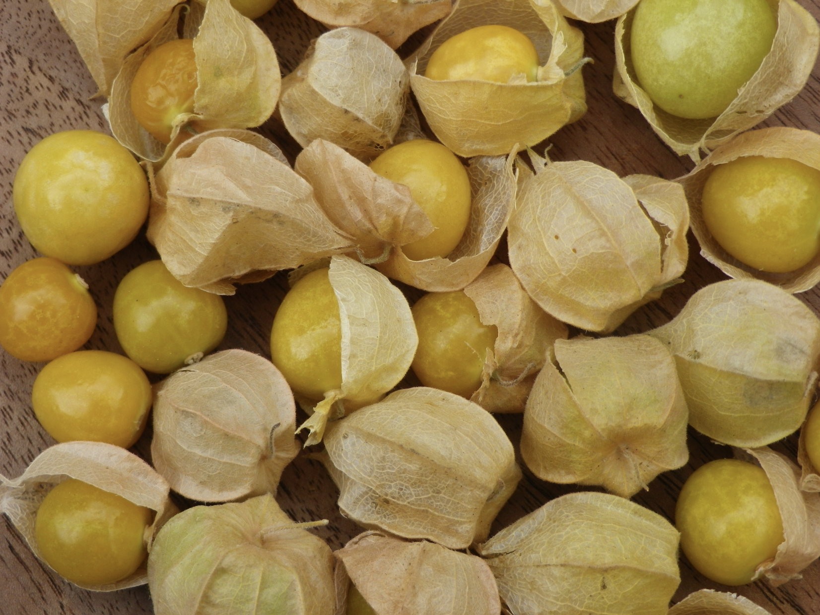 Ground cherries
