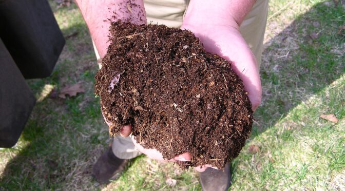 Two hands holding compost