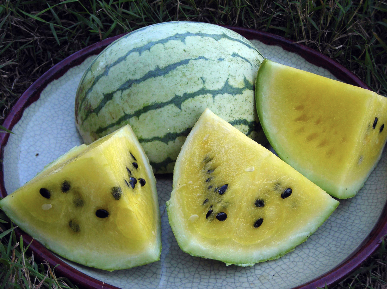 Early Moonbeam Watermelon with yellow flesh