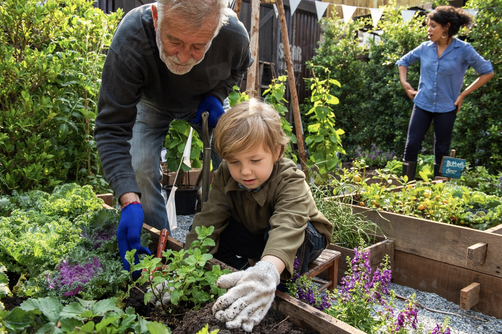 man and child planting in a raised bed