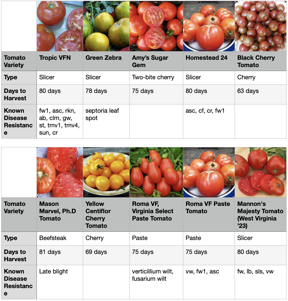 Greenhouse Tomatoes Table